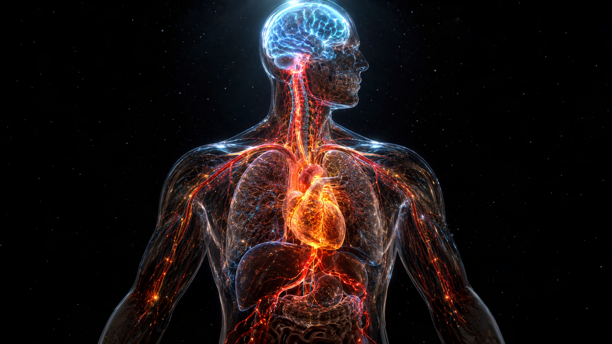 Your Heart Sends More Signals to Your Brain Than Vice Versa